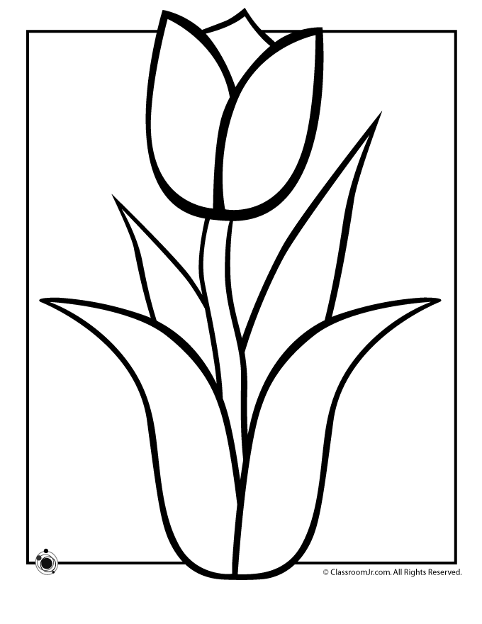 tulpe-ausmalbild-0029-q1