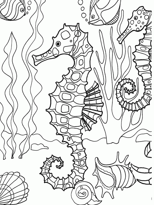 unterwasser-meeresgrund-ausmalbild-0073-q1