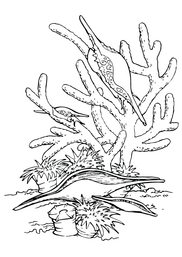 unterwasser-meeresgrund-ausmalbild-0079-q2