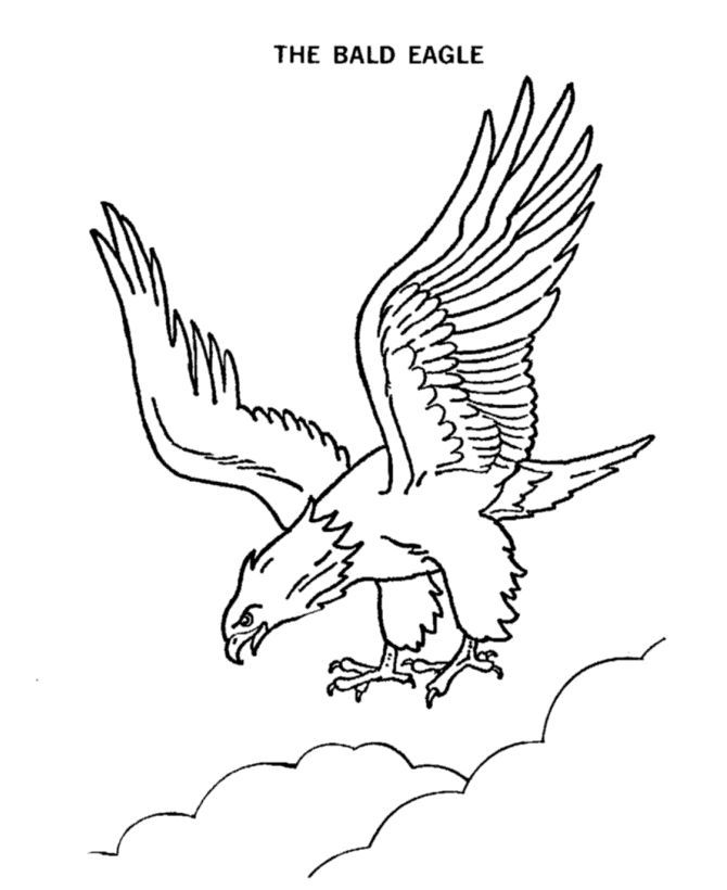 usa-ausmalbild-0049-q1