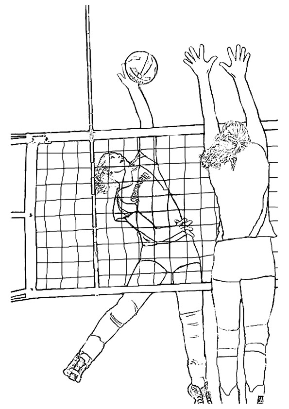 volleyball-ausmalbild-0008-q2