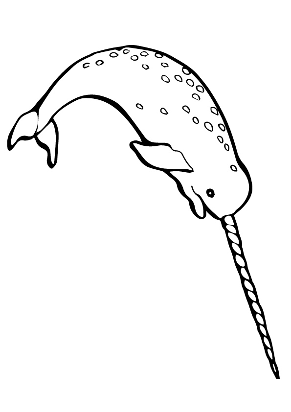 wal-ausmalbild-0044-q2