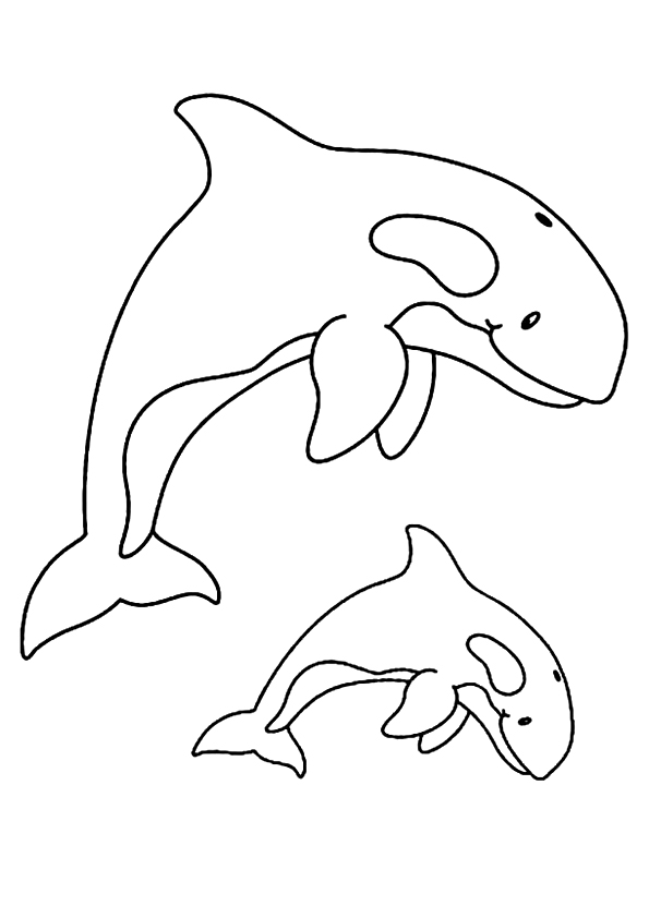 wal-ausmalbild-0053-q2