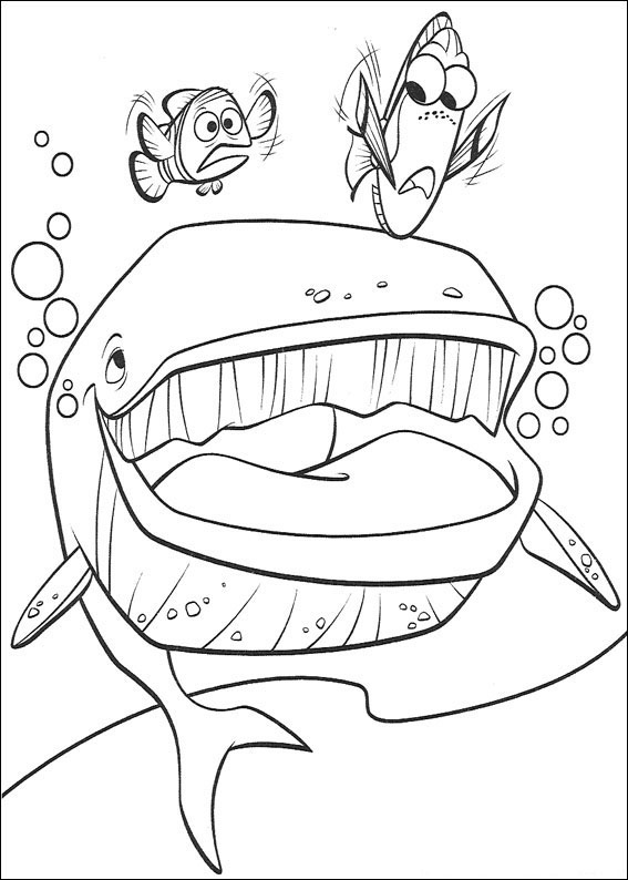 wal-ausmalbild-0057-q5