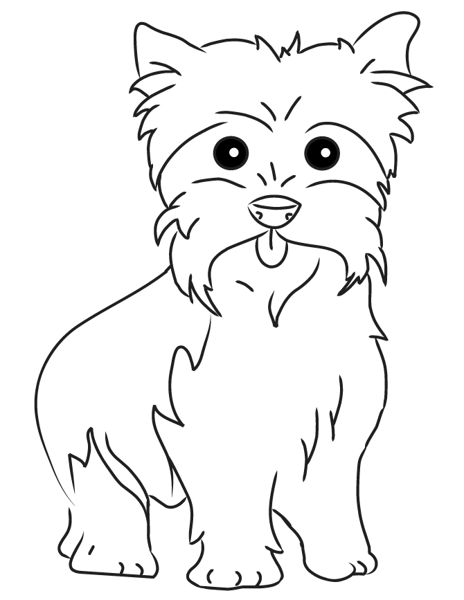 yorkshire-terrier-ausmalbild-0006-q1