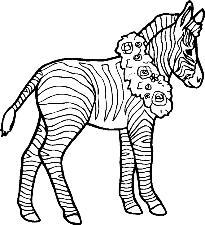 zebra-ausmalbild-0013-q1