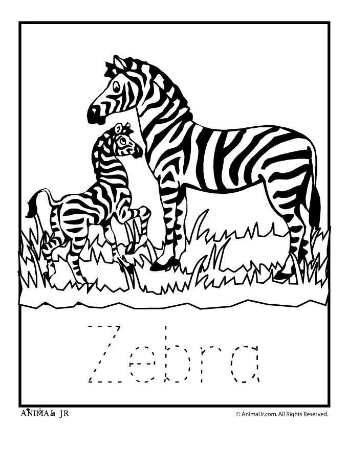 zebra-ausmalbild-0016-q1