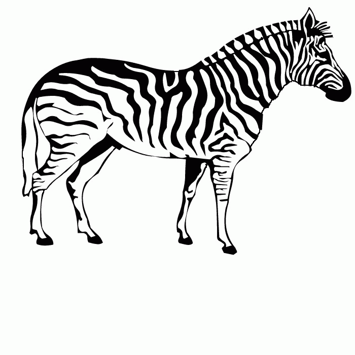 zebra-ausmalbild-0022-q1