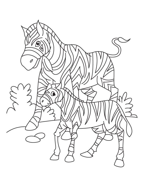 zebra-ausmalbild-0035-q1
