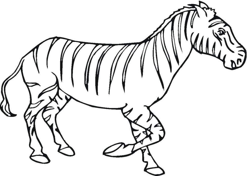 zebra-ausmalbild-0043-q1