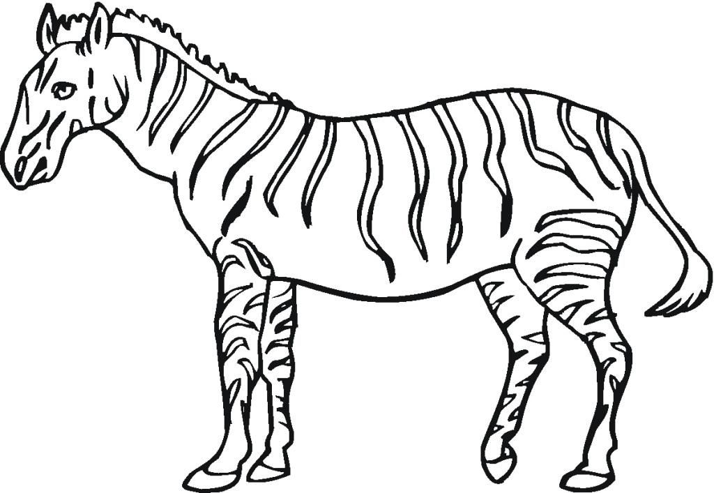 zebra-ausmalbild-0049-q1