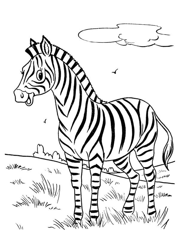 zebra-ausmalbild-0053-q2