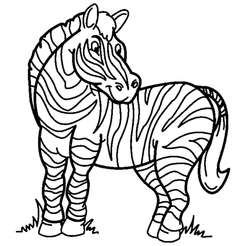 zebra-ausmalbild-0065-q1
