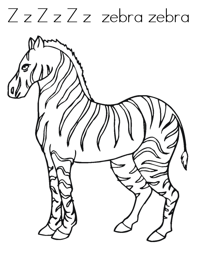 zebra-ausmalbild-0067-q1