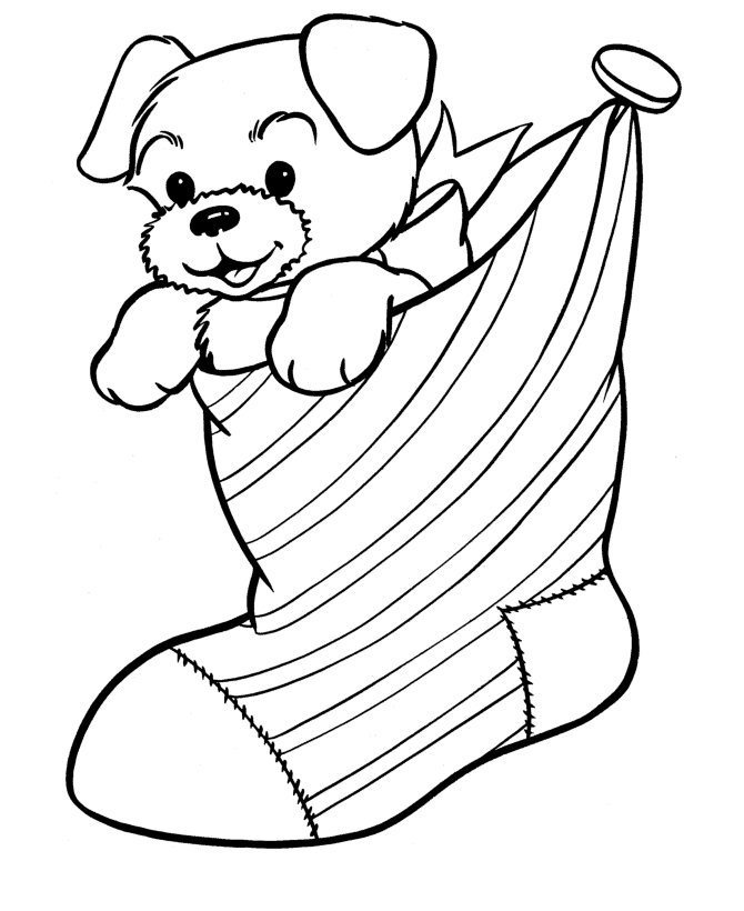 tiere-ausmalbild-0085-q1