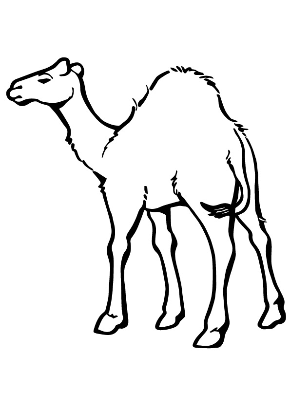 tiere-ausmalbild-0167-q2