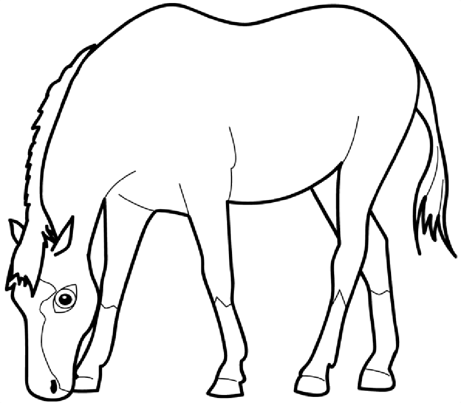tiere-ausmalbild-0184-q1