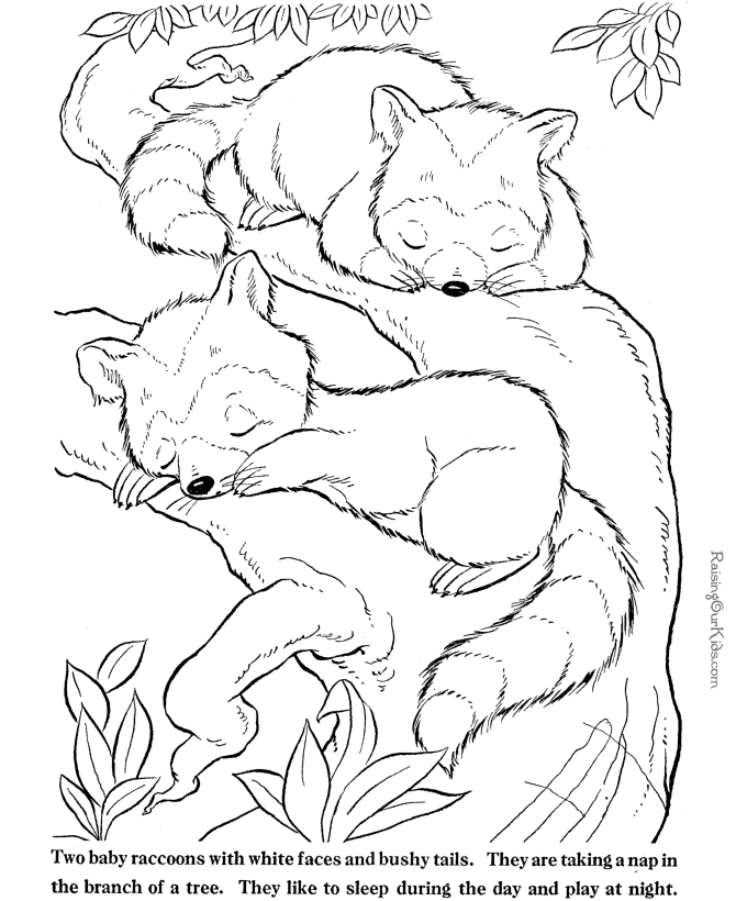 tiere-ausmalbild-0188-q1