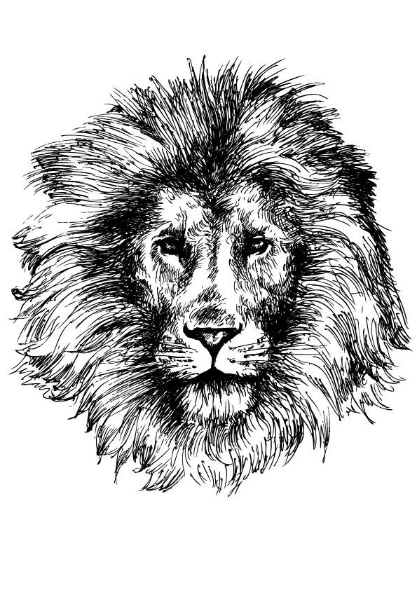 tiere-ausmalbild-0275-q2