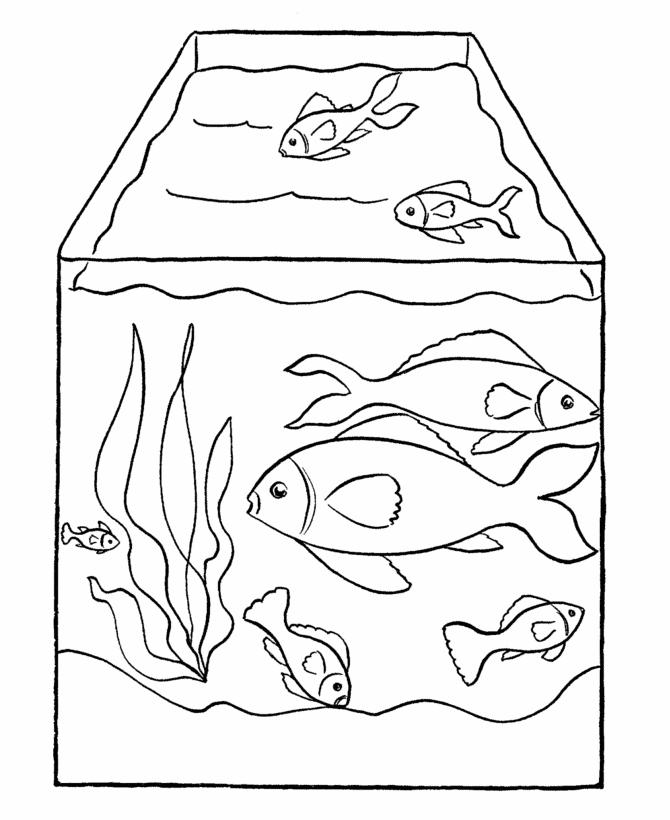 aquarium-ausmalbild-0002-q1