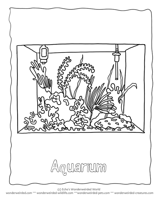 aquarium-ausmalbild-0011-q1