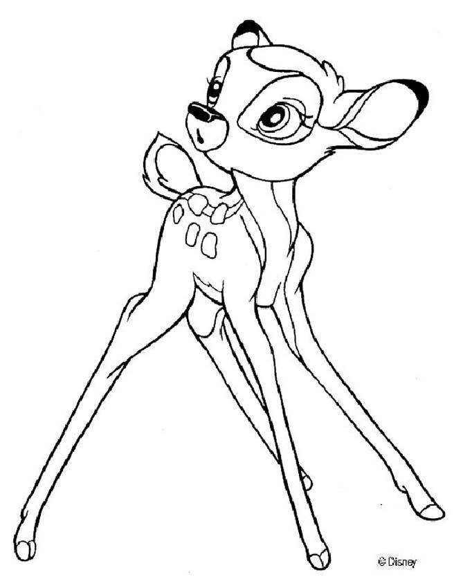 bambi-ausmalbild-0068-q1