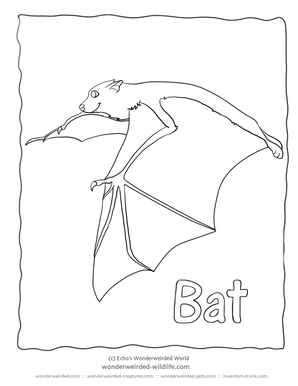 fledermaus-ausmalbild-0038-q1