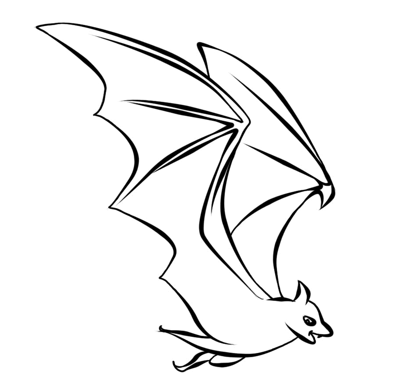 fledermaus-ausmalbild-0041-q1