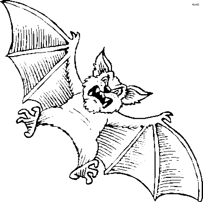 fledermaus-ausmalbild-0056-q1