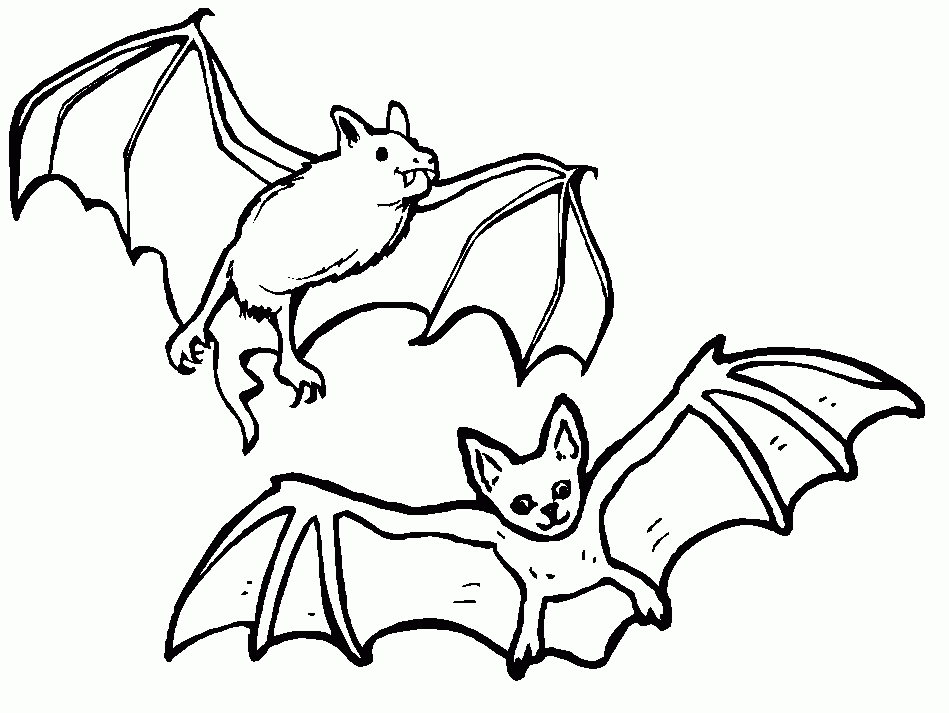 fledermaus-ausmalbild-0059-q1