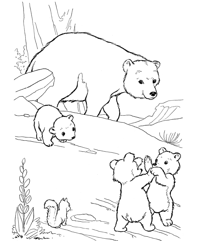 baer-ausmalbild-0047-q1