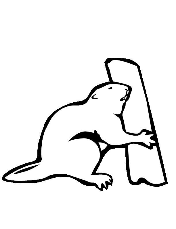 Biber Ausmalbilder &amp; Malvorlagen 100 KOSTENLOS