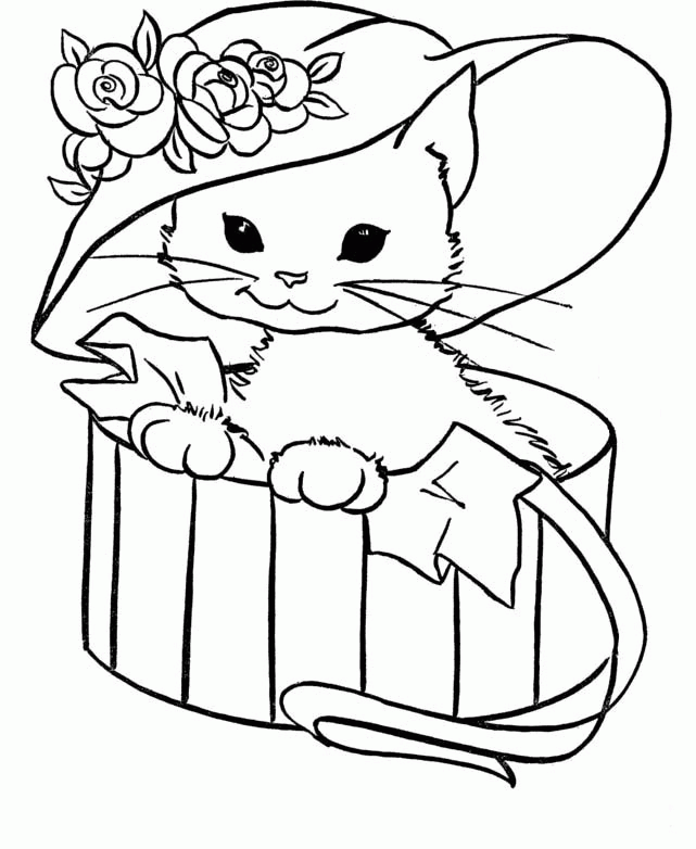 Katze Ausmalbilder Malvorlagen 100 KOSTENLOS
