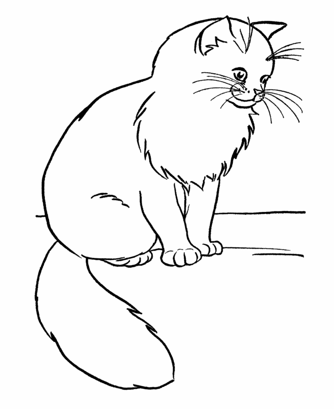 katze-ausmalbild-0129-q1