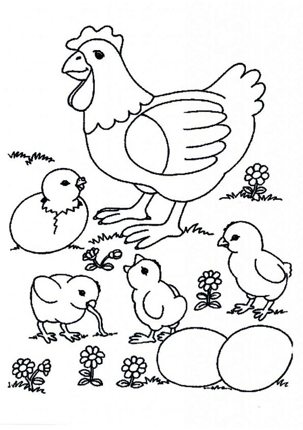 Huhn: Ausmalbilder & Malvorlagen - 100% KOSTENLOS