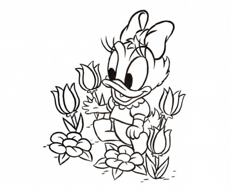daisy-duck-ausmalbild-0045-q1