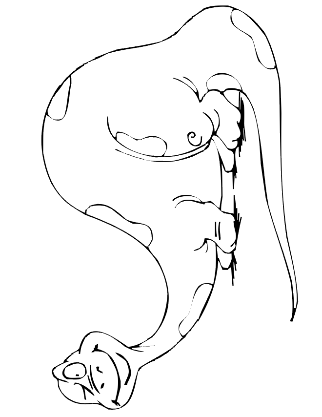 dinosaurier-ausmalbild-0054-q1