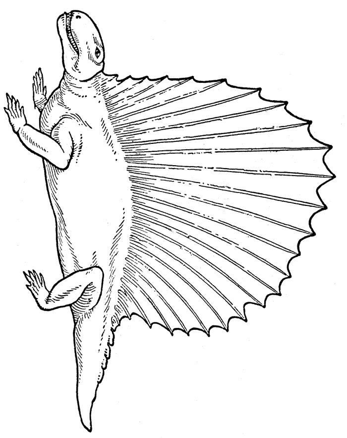 dinosaurier-ausmalbild-0072-q1