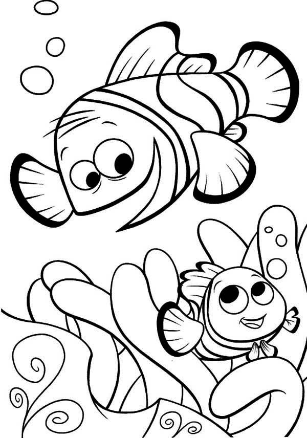 findet-nemo-ausmalbild-0107-q1