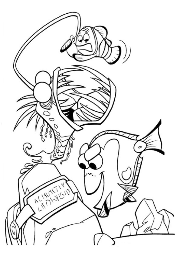 findet-nemo-ausmalbild-0117-q2