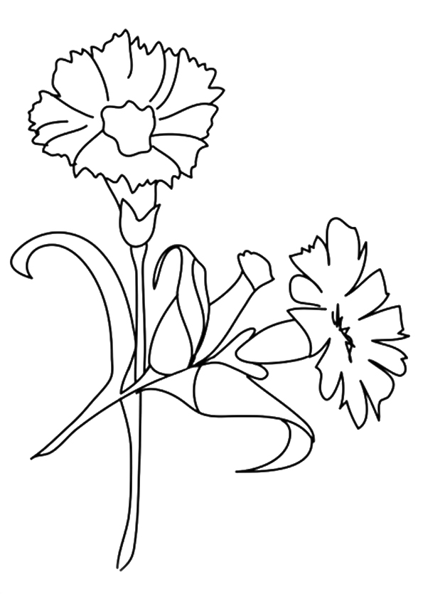 blume-ausmalbild-0119-q2