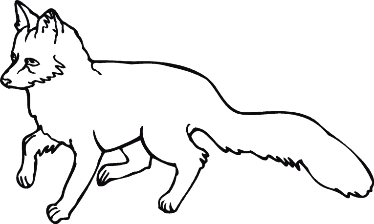 fuchs-ausmalbild-0076-q3