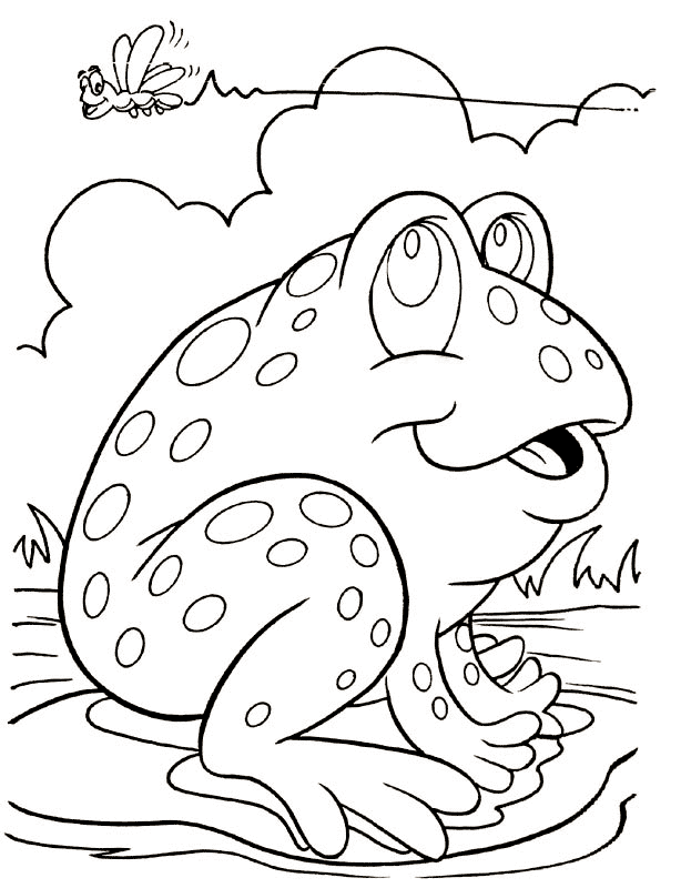 frosch-ausmalbild-0036-q1