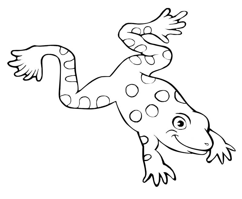 Frosch-Alarm! Ausmalbilder Kostenlos für Kleine und Große Künstler