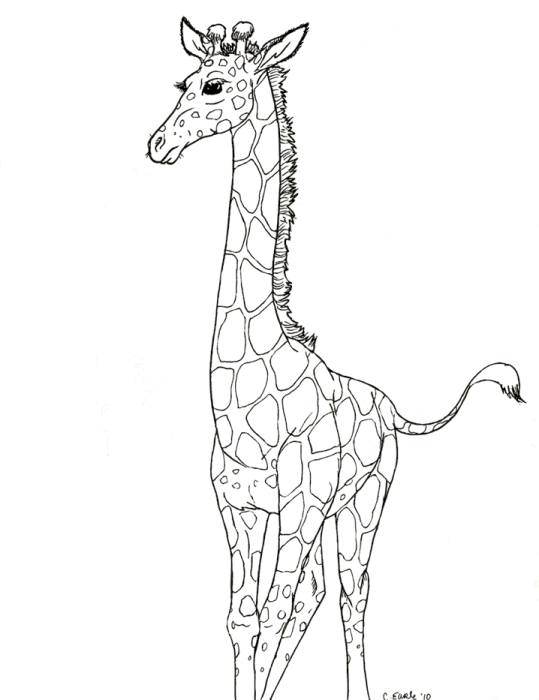 giraffe-ausmalbild-0048-q3