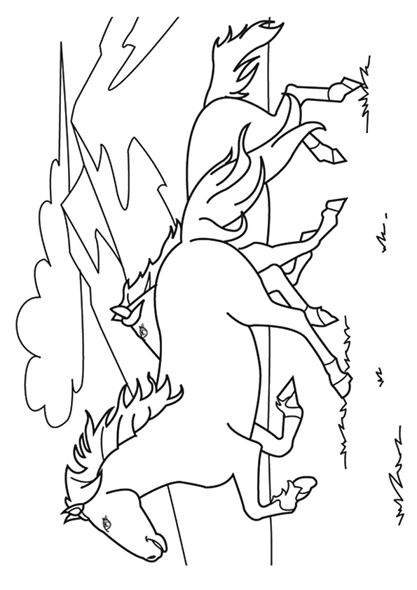 pferd-ausmalbild-0133-q2