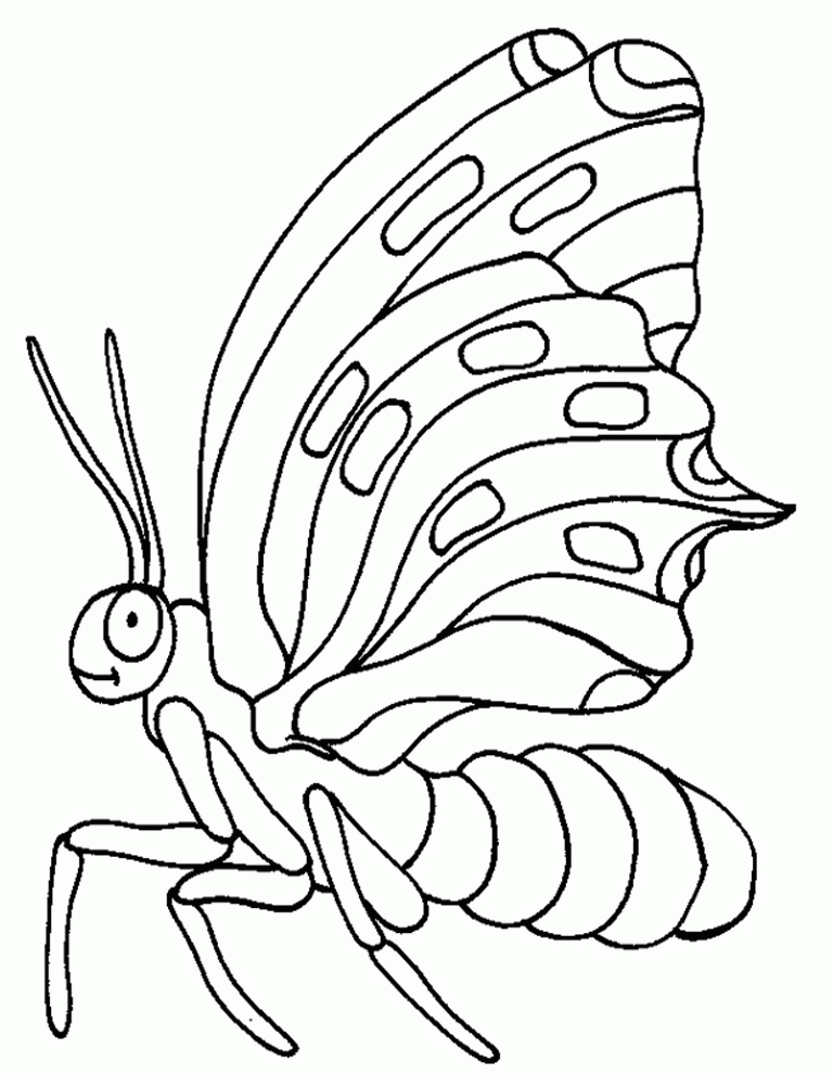 insekt-ausmalbild-0007-q1