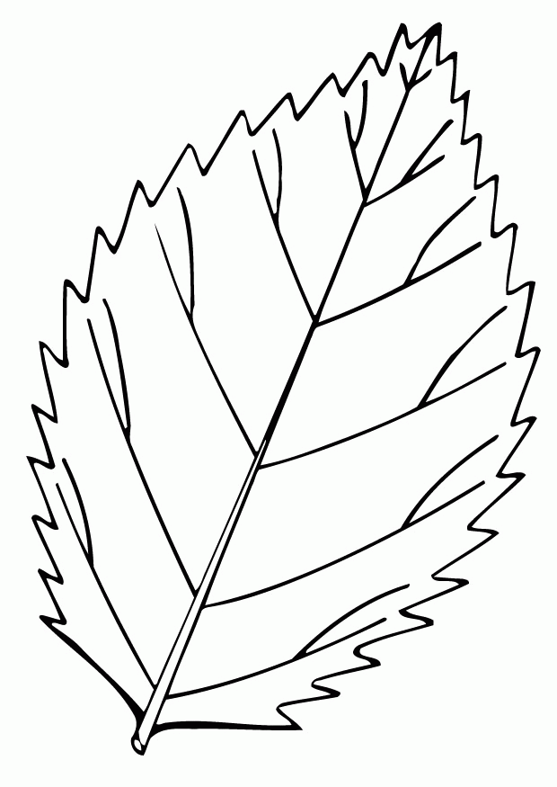 blatt-ausmalbild-0035-q1