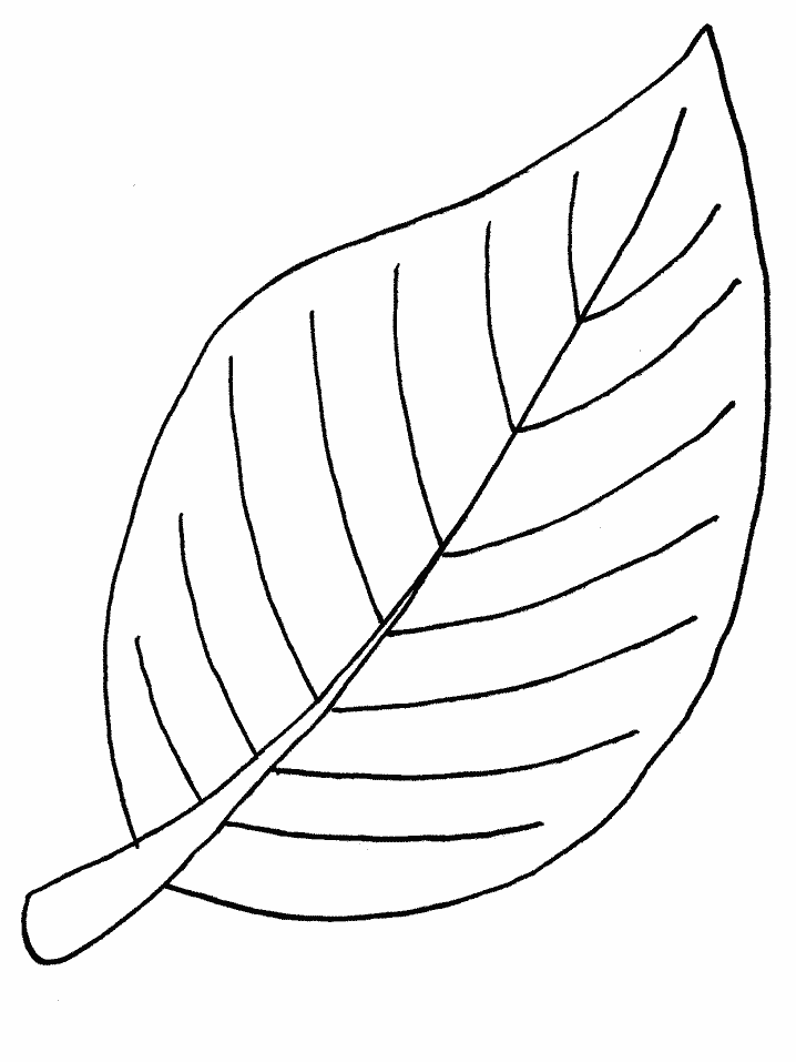 blatt-ausmalbild-0065-q1