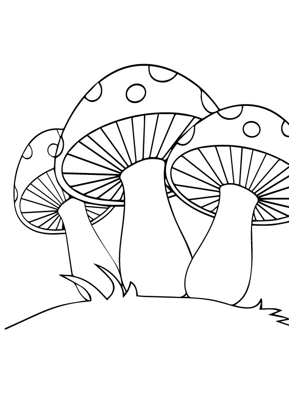 pilz-ausmalbild-0013-q2